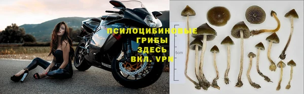 гидра Абинск