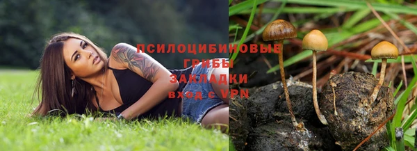СК Абдулино